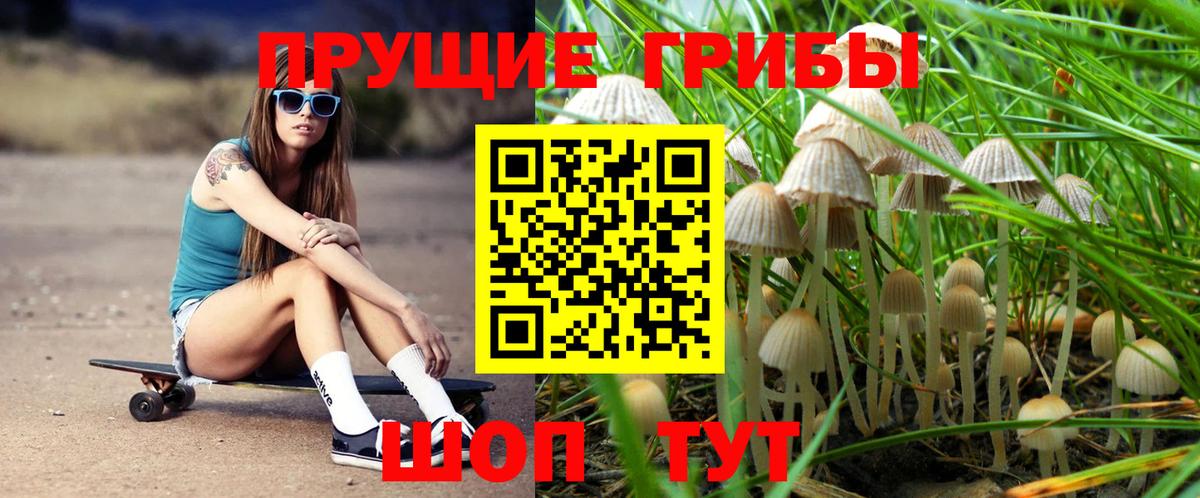 Псилоцибиновые грибы Magic Shrooms Норильск